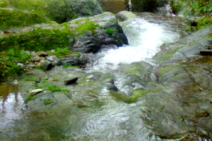 山荘内を流れる川