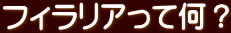 フィラリアって何？