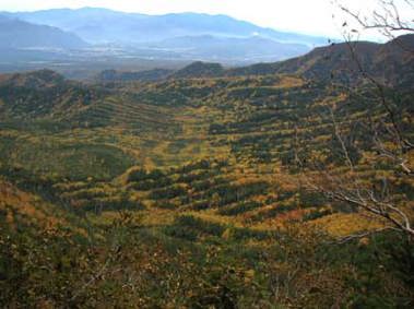 �V��x����