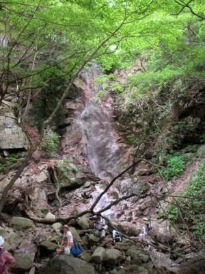 �����̑��