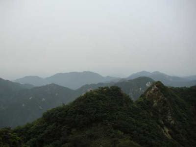 �������`�僖�x�̓W�]