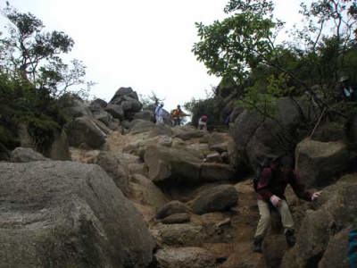 �R�������̉���