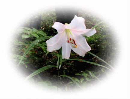 �T�T����