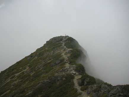 �����x����