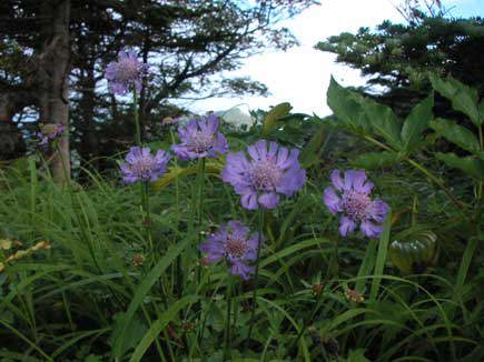 �^�J�l�}�c���V�\�E