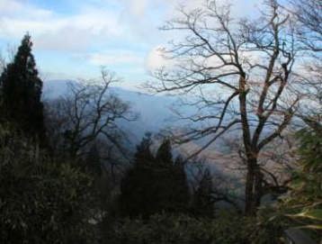 �D�����p�̐�m�R