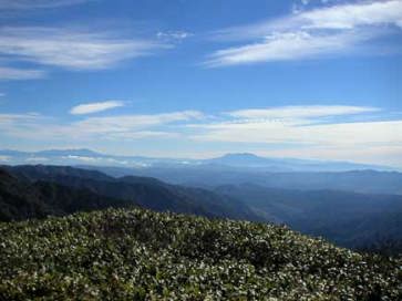 ��x�@���