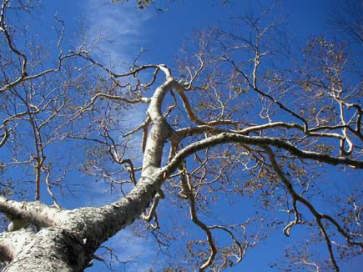 �_�P�J���o