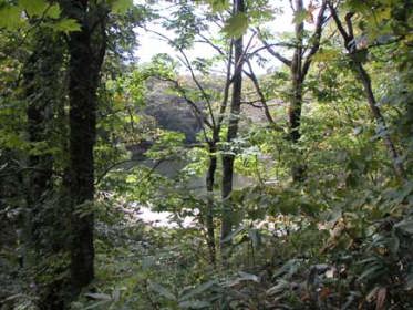 �u�i�т���r������