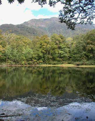 �����r�ɉf��O�̕�