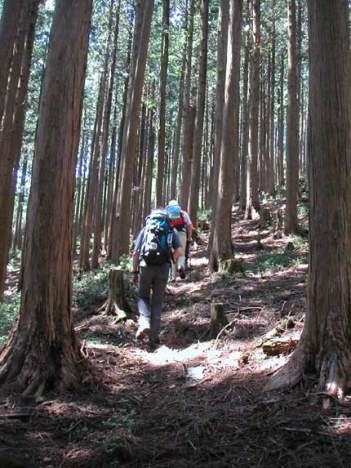 �����R�ւ̏��