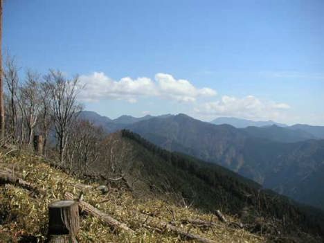 �R�������V�A�R�ブ�x�A�����