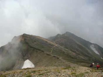 �V��̓���