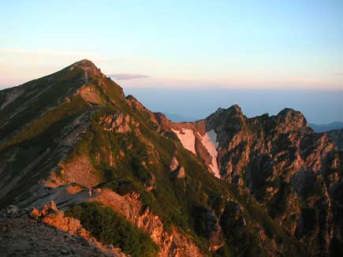 ���̃L���b�g