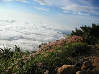 �`���O���}�̖Ȗ�