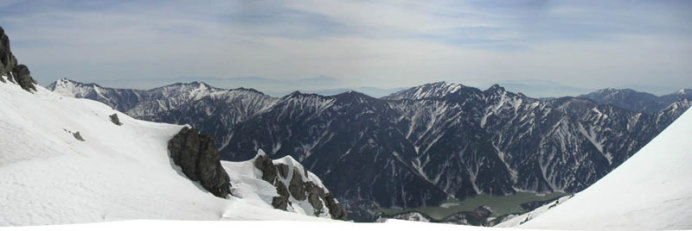 �����΂��͂���Őj�̖؁A�@�؁A��A������