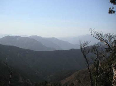 �R������̑���W�]