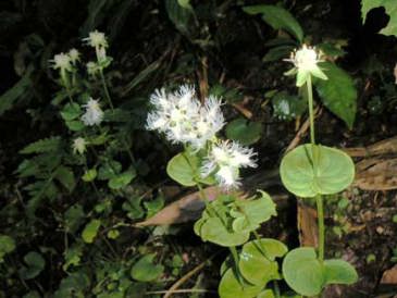 �V���q�Q�\�E