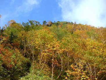 �S�Ȃ���̉��t�ƎR��