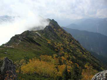 ���Y���̉��t