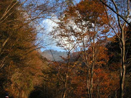 �o�R������