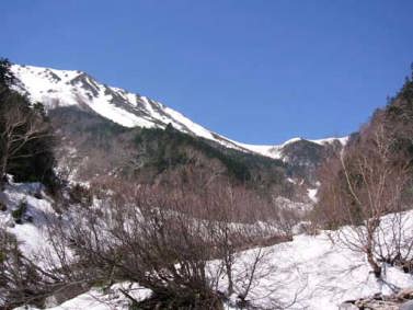 ��̑�̓o��