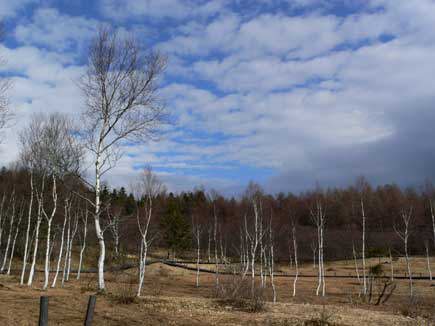 ���}����