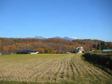 ���W�����甪���x