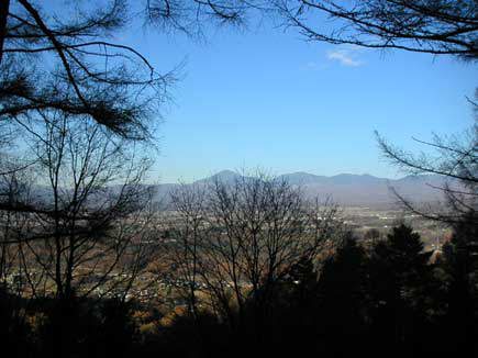 ���т��甪���x