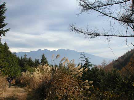 �X�X�L�Ɣ����x