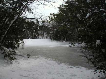 凍りつくノタノホリ