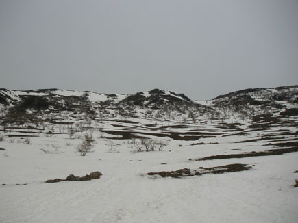 3合目から伊吹山山頂