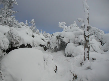 �g���[�X�̂Ȃ���