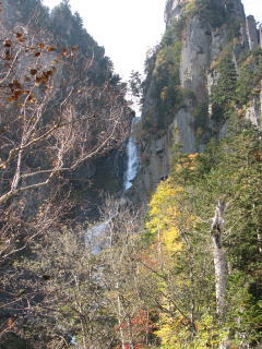 滝周辺は強風で葉が吹き飛ばされた後です。。。