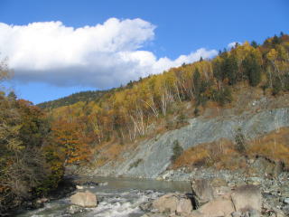 ����ɑ΂���͔�����������̂��ƁE�E�E�E(^^;