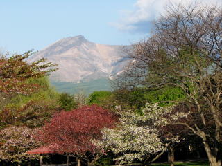 駒ケ岳を見るのも久しぶりです。微妙にさくらもあるしね(^-^)