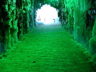 これはアイデア賞モノかな。松の葉っぱと緑の照明で苔の同門を表現しています。なかなか良いよ(^-^)