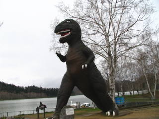 恐竜の化石が発見されたとか・・・。三笠市内には博物館もあります。