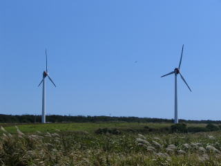 近くには大きな発電用の風車。